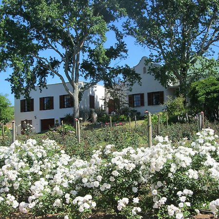 Aan-Den-Weg Villa Stellenbosch Exterior photo